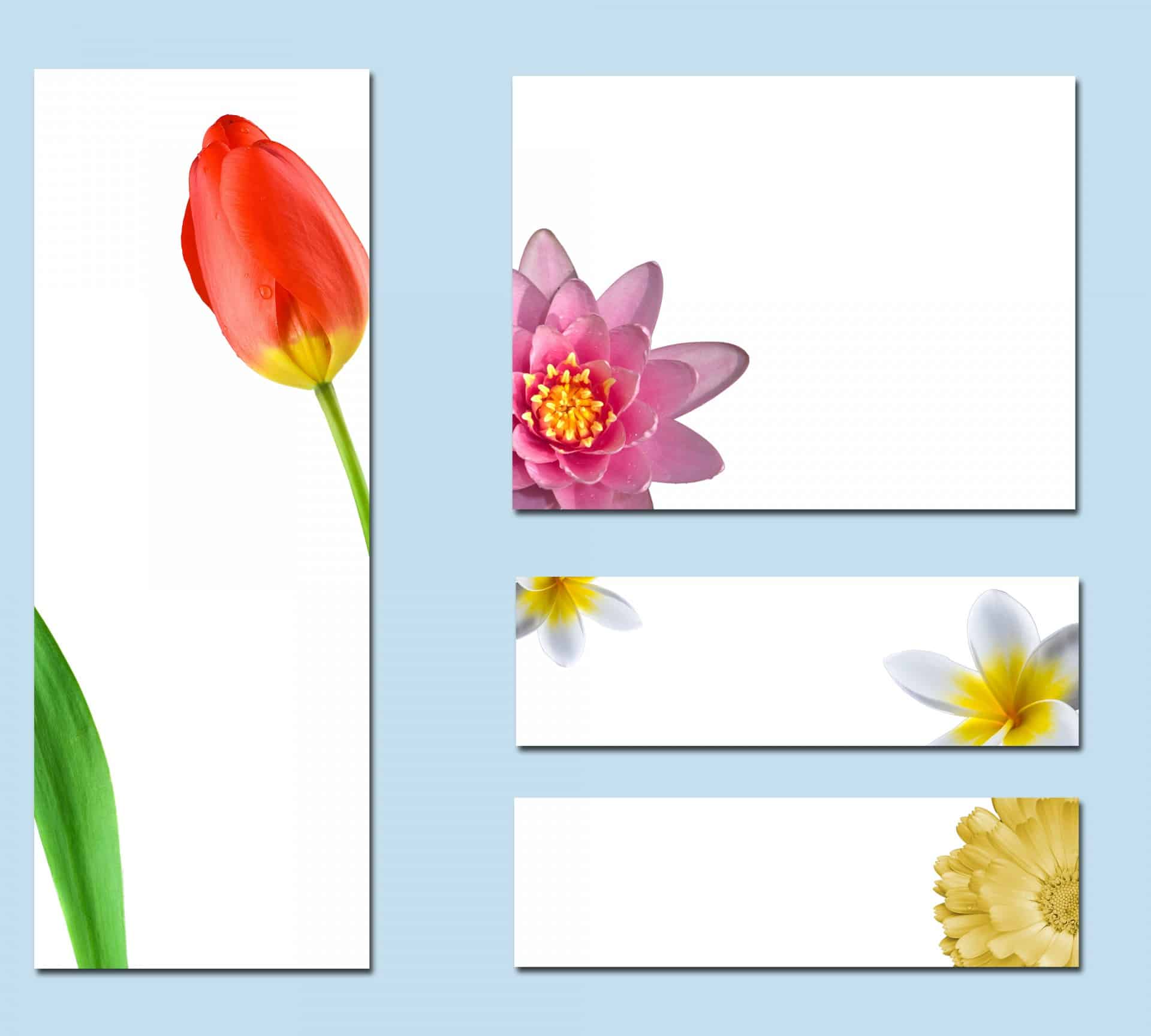 Dimensiunile cărților de vizită și alte aspecte importante