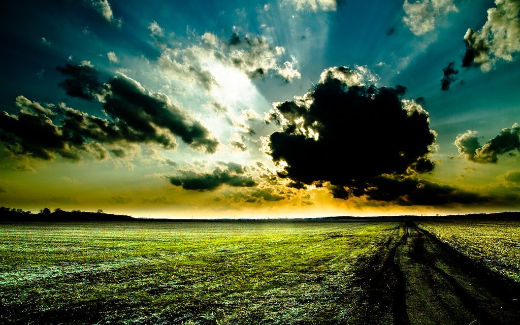 Contrastul culorilor: secretul unui design memorabil